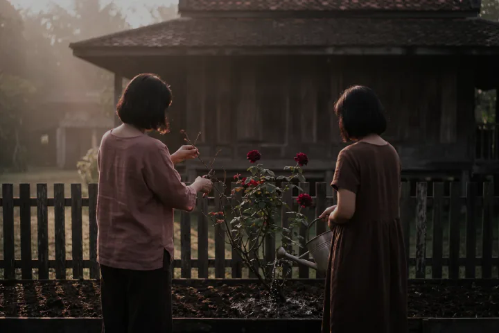 เช้าวันหยุด คนสองคนหันหลังให้กล้อง คนหนึ่งเล็มกิ่งแห้ง อีกคนรดน้ำต้นกุหลาบหน้าบ้าน